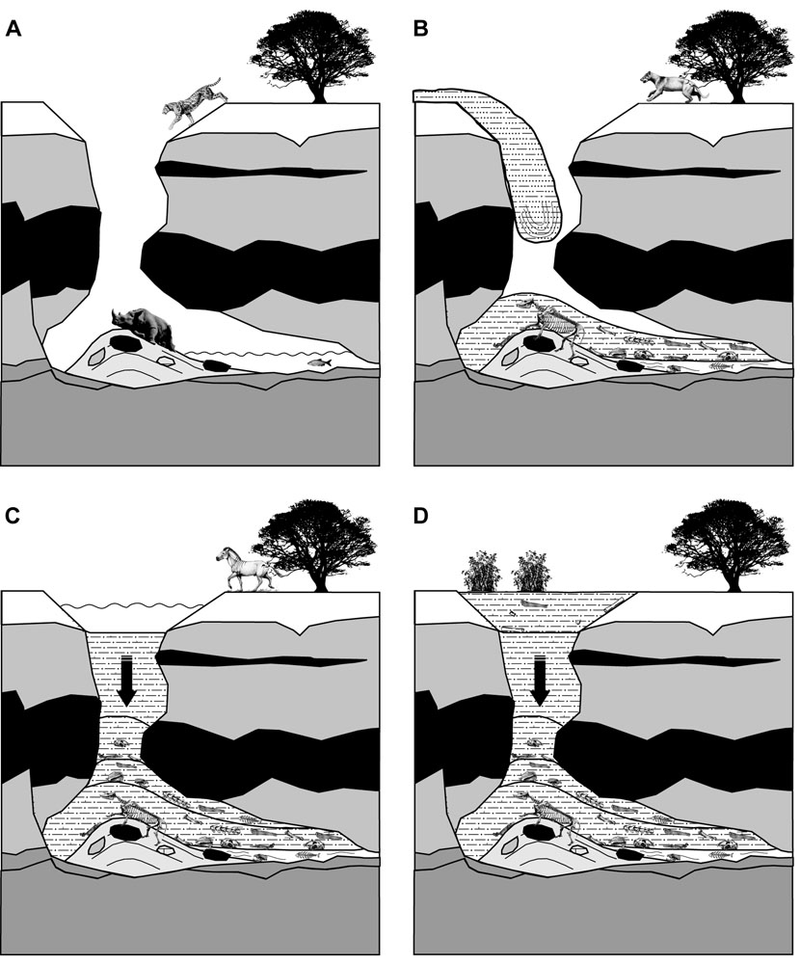 Illustration for article titled This mysterious cave was a deathtrap for thousands of years